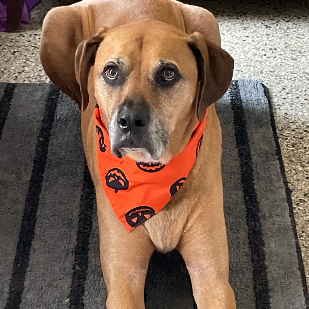 Meet your Posher, Adrienne